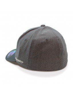 Gorra FLEXFIT The One and Only gris