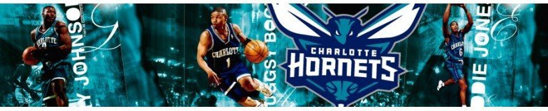 Charlotte Hornets NBA Caps |Top Hats Shop