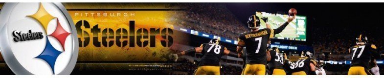 Gorras Pittsburgh Steelers NFL New Era | Top Hats